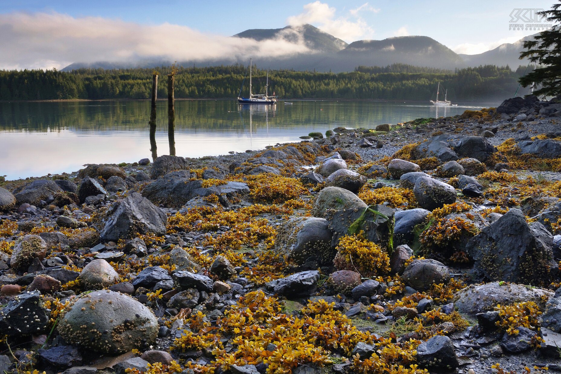 Ucluelet Ucluelet is a small town on the west coast of Vancouver Island surrounded by many islands and beautiful rocky beaches. Stefan Cruysberghs